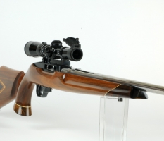 Ruger 10/22 (2)