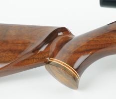 Ruger 10/22 (3)