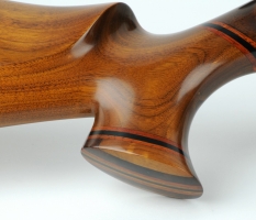 Ruger 10/22 (1)